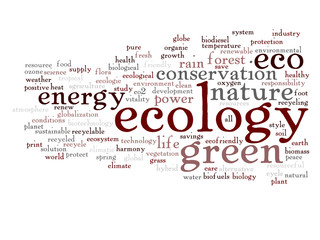 Conceptual ecology word cloud