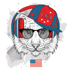 Illustration of tiger in the glasses, headphones and in hip-hop hat with print of USA. Vector illustration.