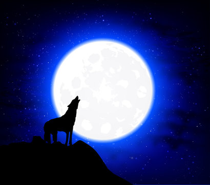 Wolf Howling at the full moon