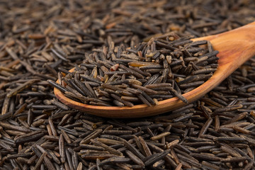 Wild brown rice in spoon