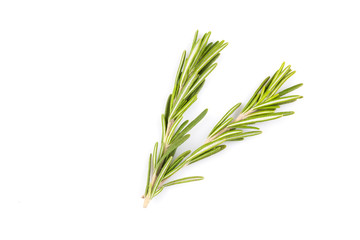rosemary isolated on white background