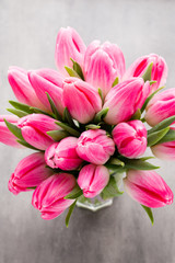 Obraz premium More tulip on the grey background.