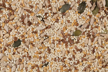 Healthy seeds mix