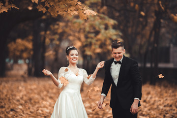 Luxury married wedding couple, bride and groom posing in park autumn