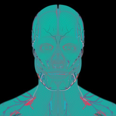 Anatomy wire frame. Human head with vibrant electric colors and fine wire mesh detail.