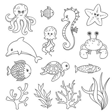 Vector Illustration of Cute Hand Drawn Sea Life Creatures Stock Vector |  Adobe Stock