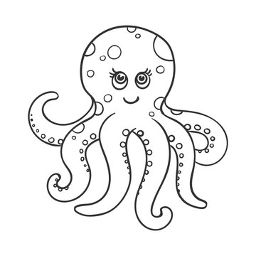 Vector Illustration of a Cute Hand Drawn Octopus