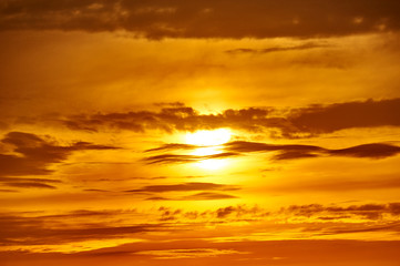 Fototapeta na wymiar golden sunset closeup background, evening sky