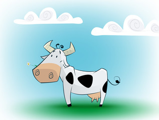 Cute black and white cow eating daisy.