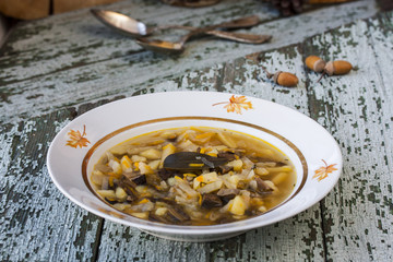 traditional Russian cabbage soup shchi with mushrooms
