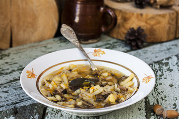 traditional Russian cabbage soup shchi with mushrooms