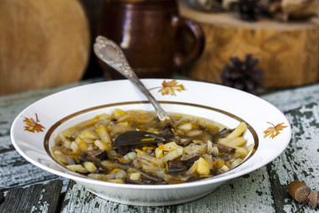 traditional Russian cabbage soup shchi with mushrooms