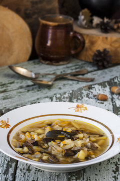 traditional Russian cabbage soup shchi with mushrooms