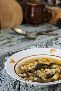 traditional Russian cabbage soup shchi with mushrooms