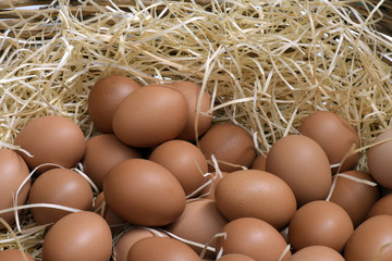 Fresh eggs in basket
