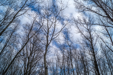 Panorama, aqua, dora, fiume, lago, mare e barca, panorama in bianco e nero