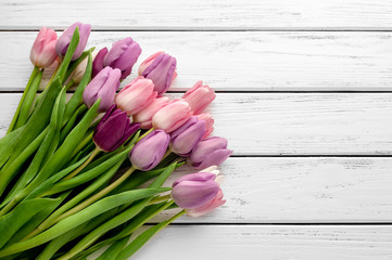 Multicolored tulips background