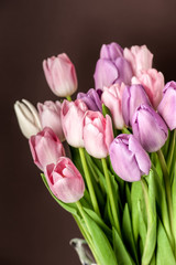 Obraz premium Colorful tulips close-up
