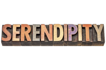 serendipity word in wood type