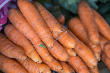 carrot group from farm market