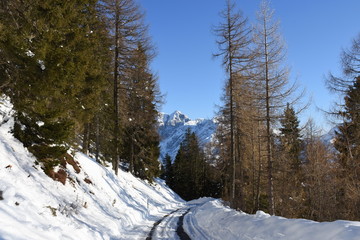 Mautstraße auf den Hochstein Wintersperre verschneit Osttirol