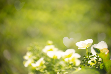 Abstract nature background with heart shaped bokeh