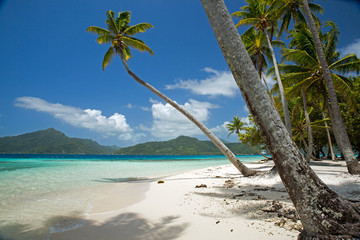 Tahiti Island