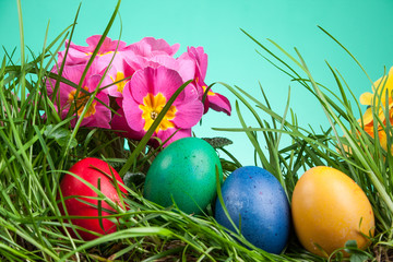 Easter colored eggs in the grass