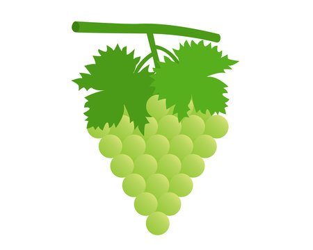 Flat Icon Green Grape With Leaves. Vector Illustration.