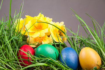 Easter colored eggs in the grass