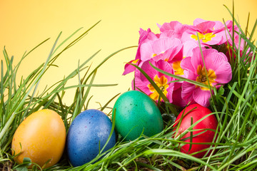 Fototapeta na wymiar Easter colored eggs in the grass
