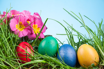 Easter colored eggs in the grass