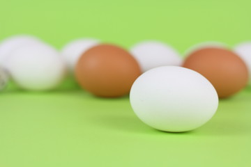 eggs close up in studio