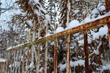 Rostiger Zaun mit Schnee