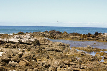 Fototapeta na wymiar Coast of Africa - Cape point in RSA