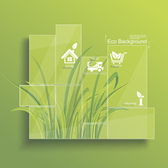 Ecological Infographic