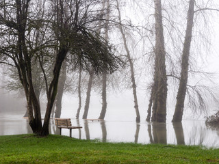 Snoqualmie river floods the park in Duvall, Washington