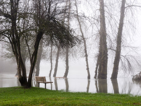 Snoqualmie River Floods The Park In Duvall, Washington