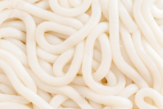 Japanese udong noodles closeup