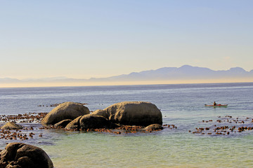 Coast of Africa - Cape point in Boulders - home for african peng