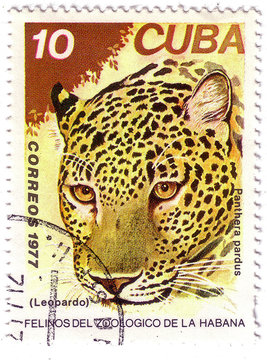 BURUNDI - CIRCA 1976: A stamp printed by Burundi shows a series of images "Animal Africa", circa 1976
