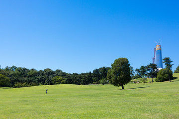 Seoul, South Korea: single tree at Olimpic park