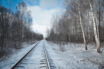 Railway in the forest