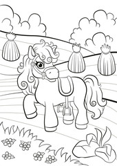 Coloring pages. Little cute pony standing on the field and smiling.
