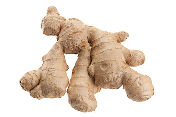 Ginger spice root on white