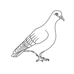 Coloring book: pigeon