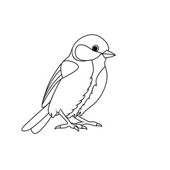 Coloring book: Tit