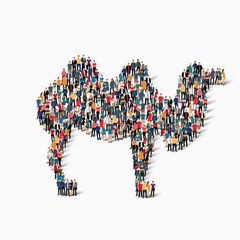 camel people icon vector