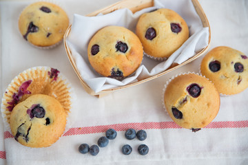 Heidelbeer Muffins 