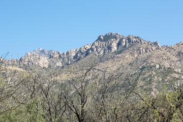 Desert Mountains